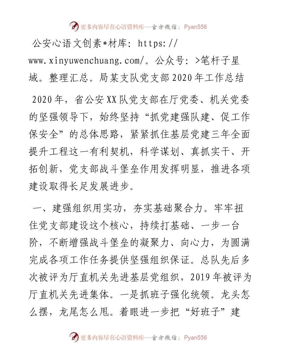 公安局某支队党支部工作总结.docx_第1页