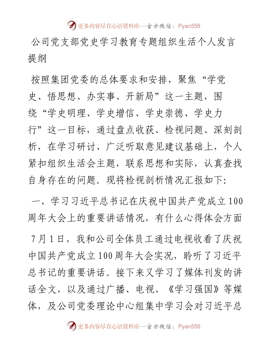 公司党支部党史学习教育专题组织生活个人发言提纲.docx_第1页