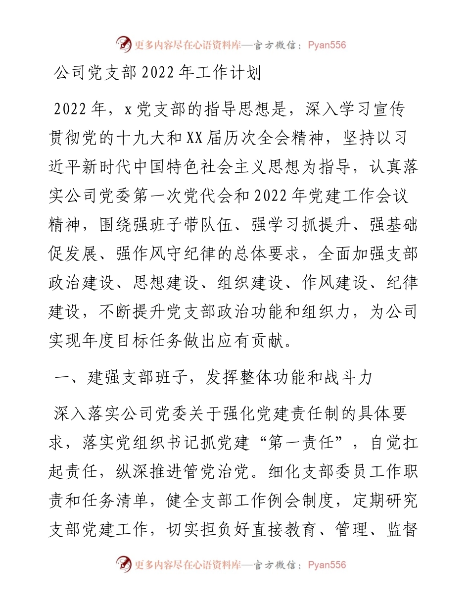 公司党支部工作计划.docx_第1页