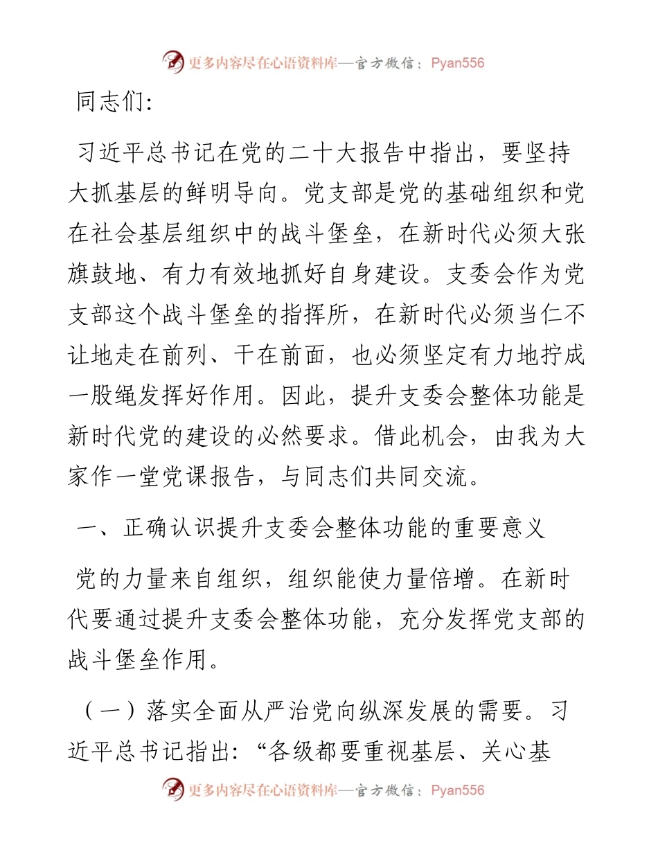 党课：抓实支委作用发挥 提升基层党建工作质量.docx_第1页