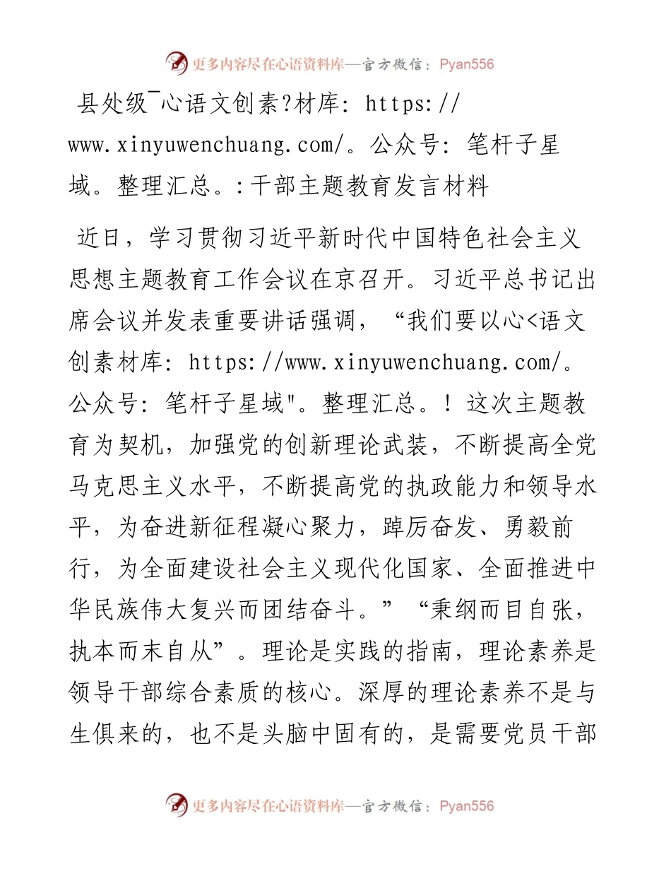县处级领导主题教育发言材料.docx_第1页