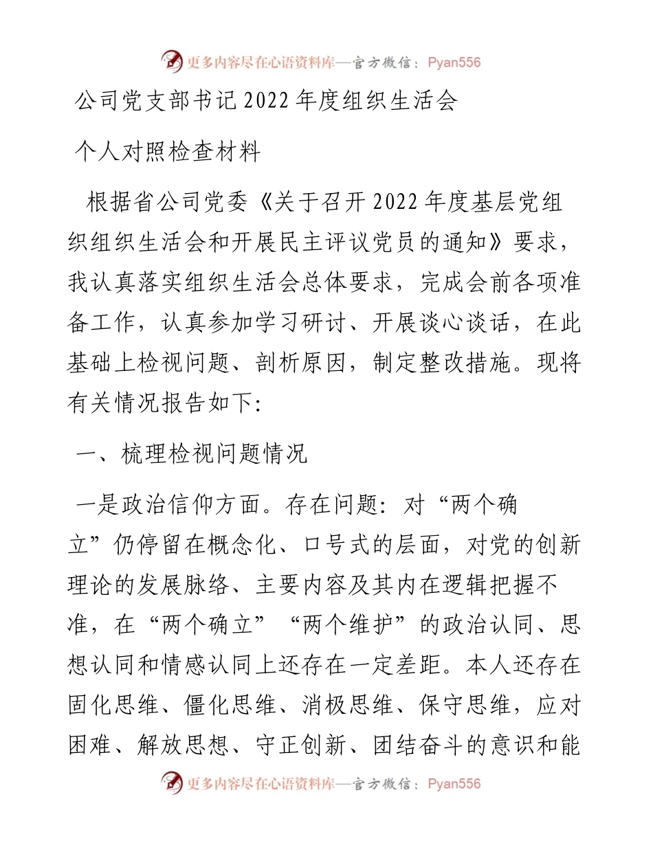 公司党支部书记度组织生活会个人对照检查材料.docx_第1页