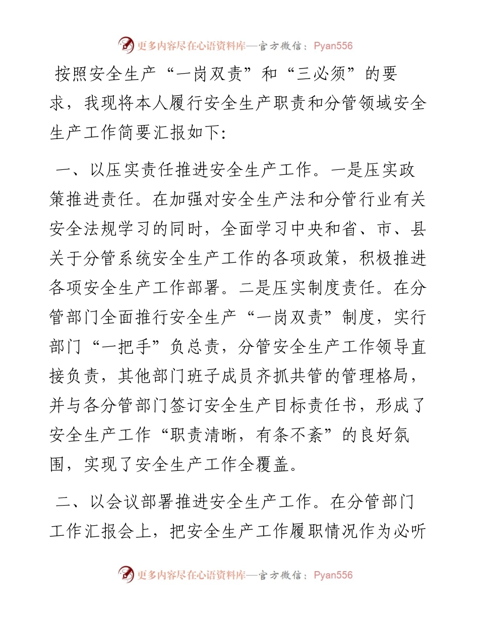 副县长分管领域安全生产工作汇报.docx_第1页