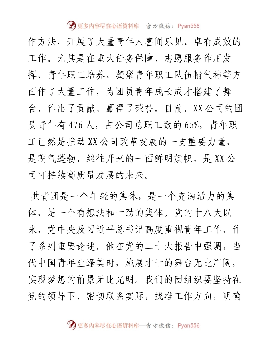 公司共青团第一次代表大会领导讲话稿.docx_第2页