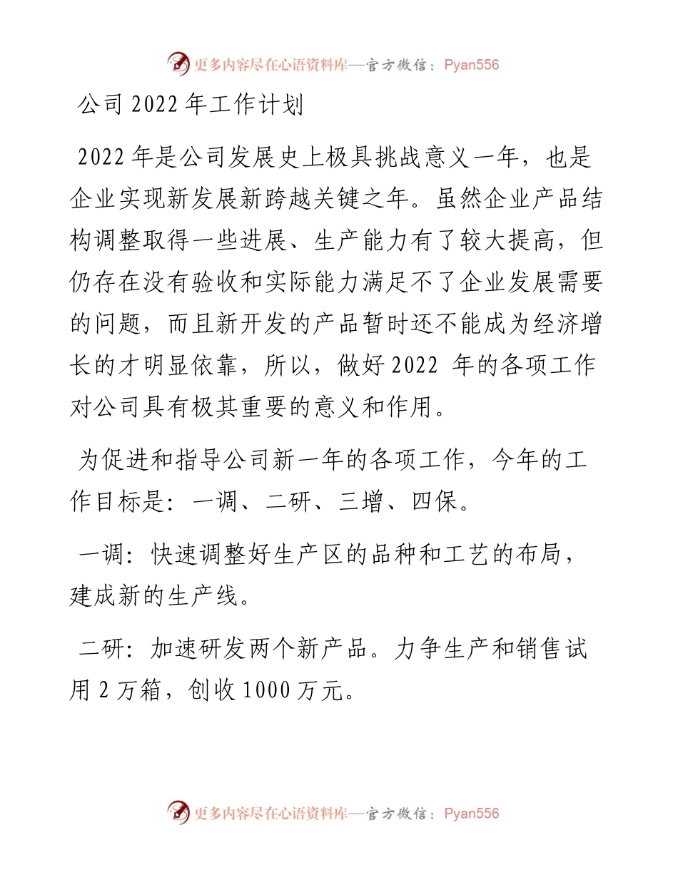 公司工作计划(1).docx_第1页