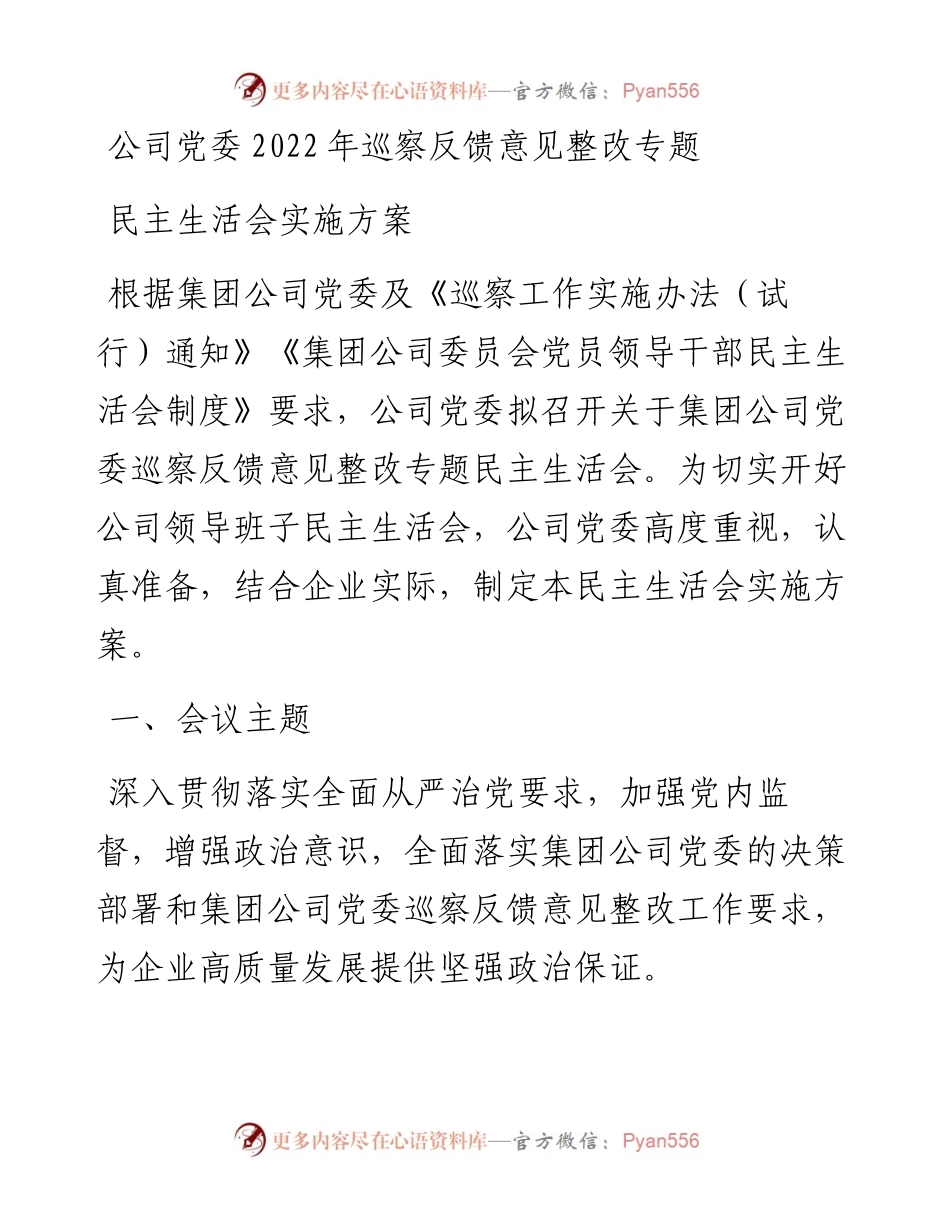 公司党委巡察反馈意见整改专题民主生活会实施方案.docx_第1页