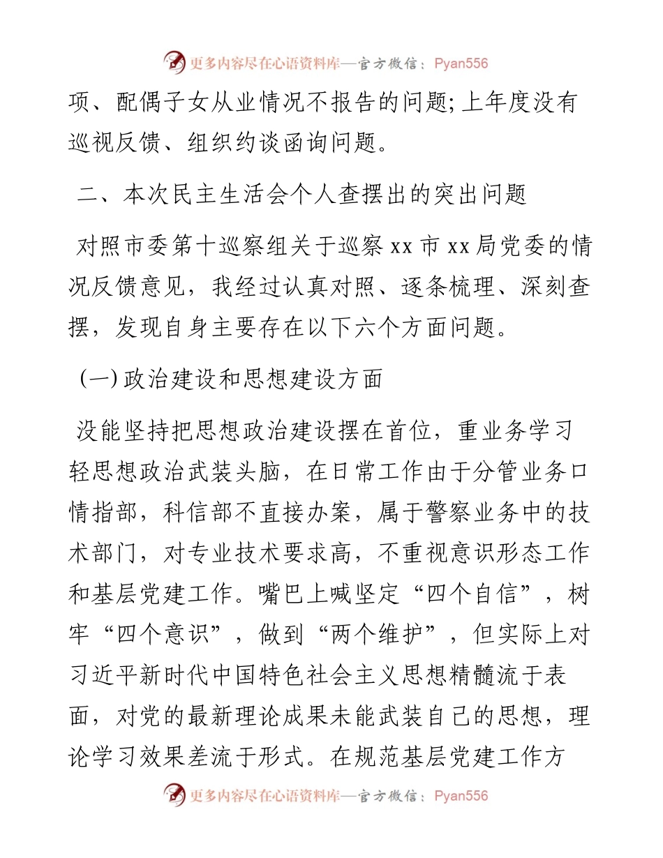 公安局巡察整改专题民主生活会检视材料.docx_第2页