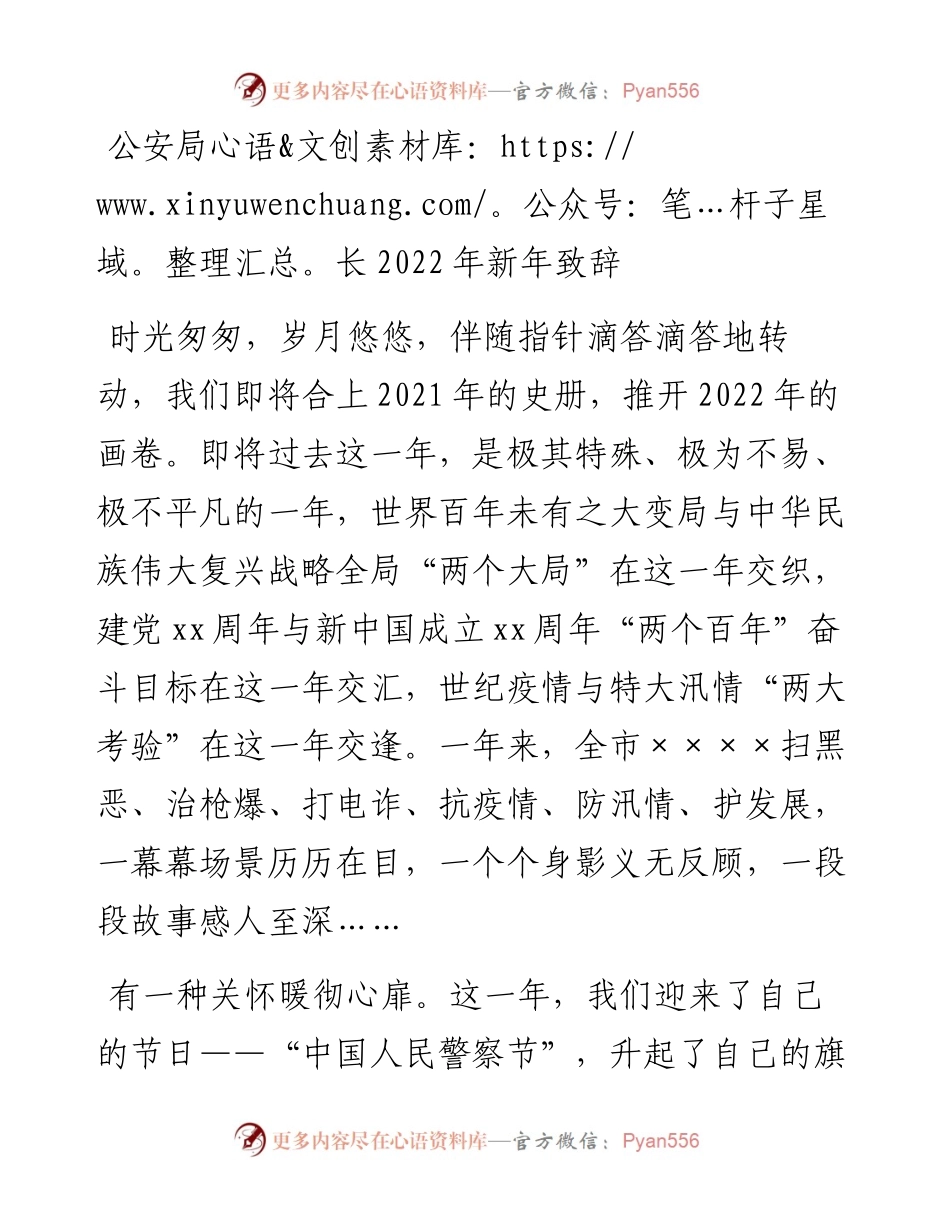 公安局长新年致辞.docx_第1页