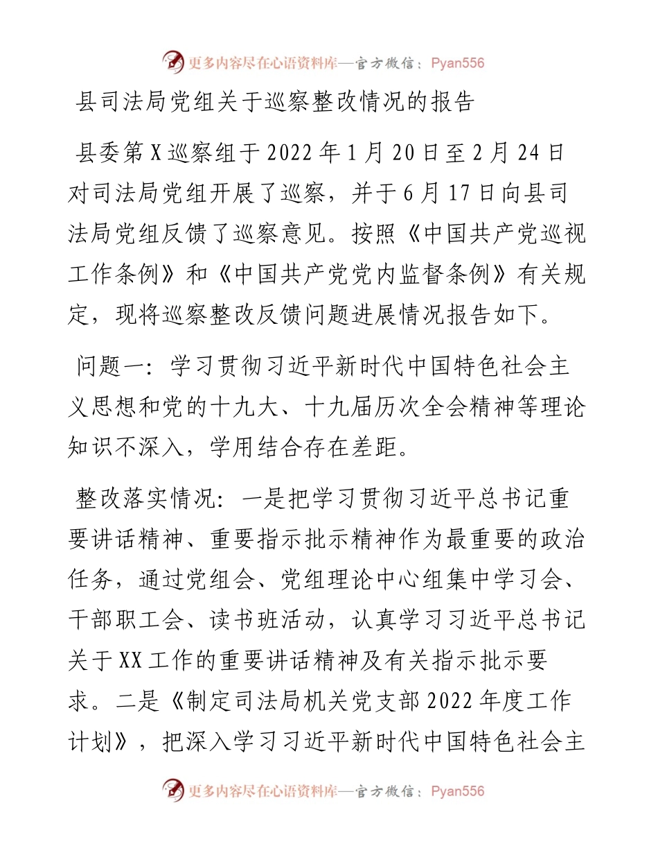 县司法局党组关于巡察整改情况的报告.docx_第1页