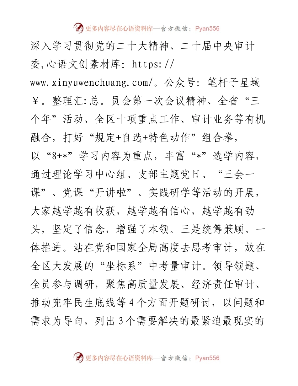 区县审计局主题教育党课讲稿.docx_第2页