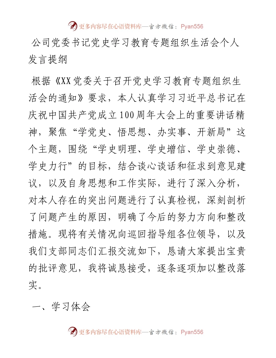公司党委书记党史学习教育专题组织生活会个人发言提纲.docx_第1页