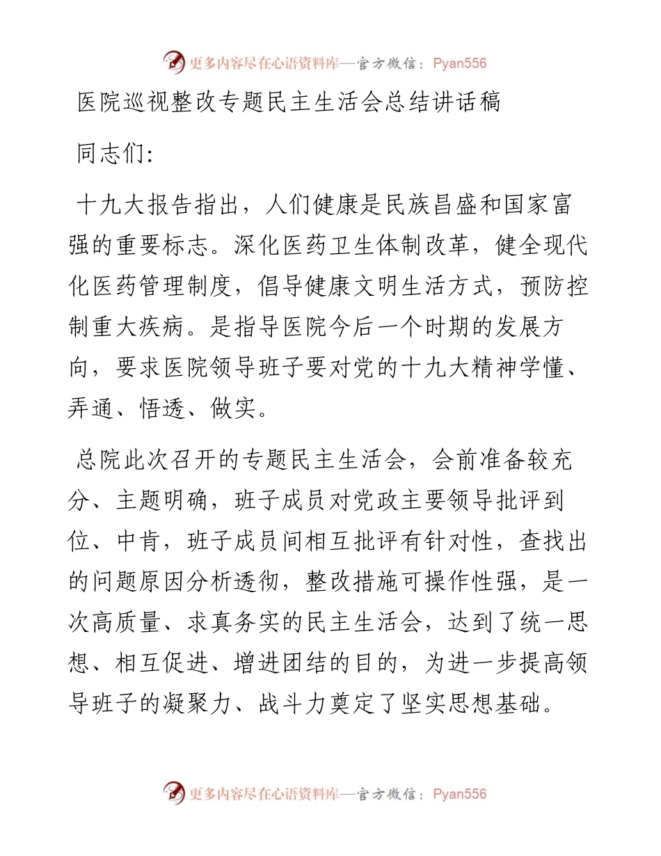 医院巡视整改专题民主生活会总结讲话稿.docx_第1页
