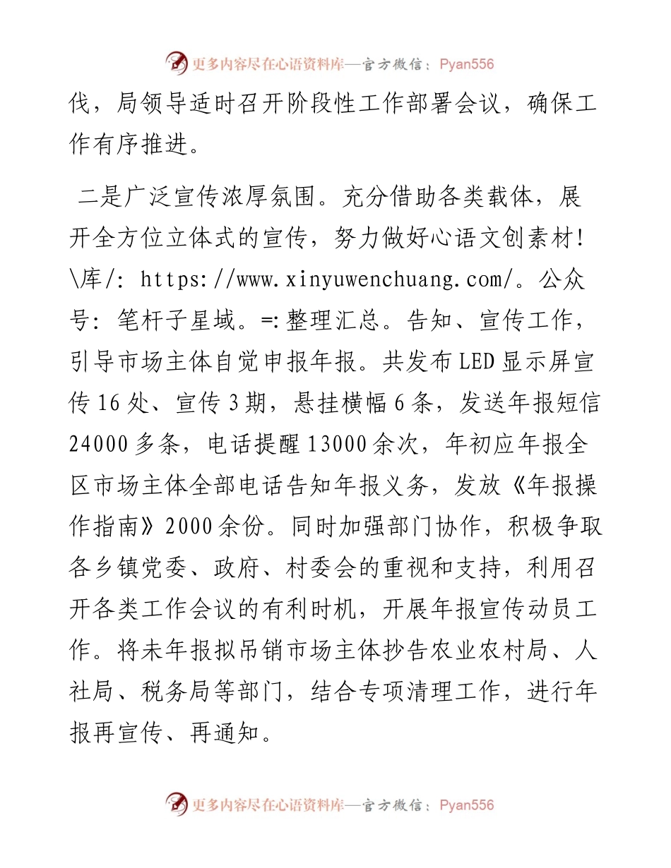 区市场监管局市场主体年报公示工作经验交流发言.docx_第2页