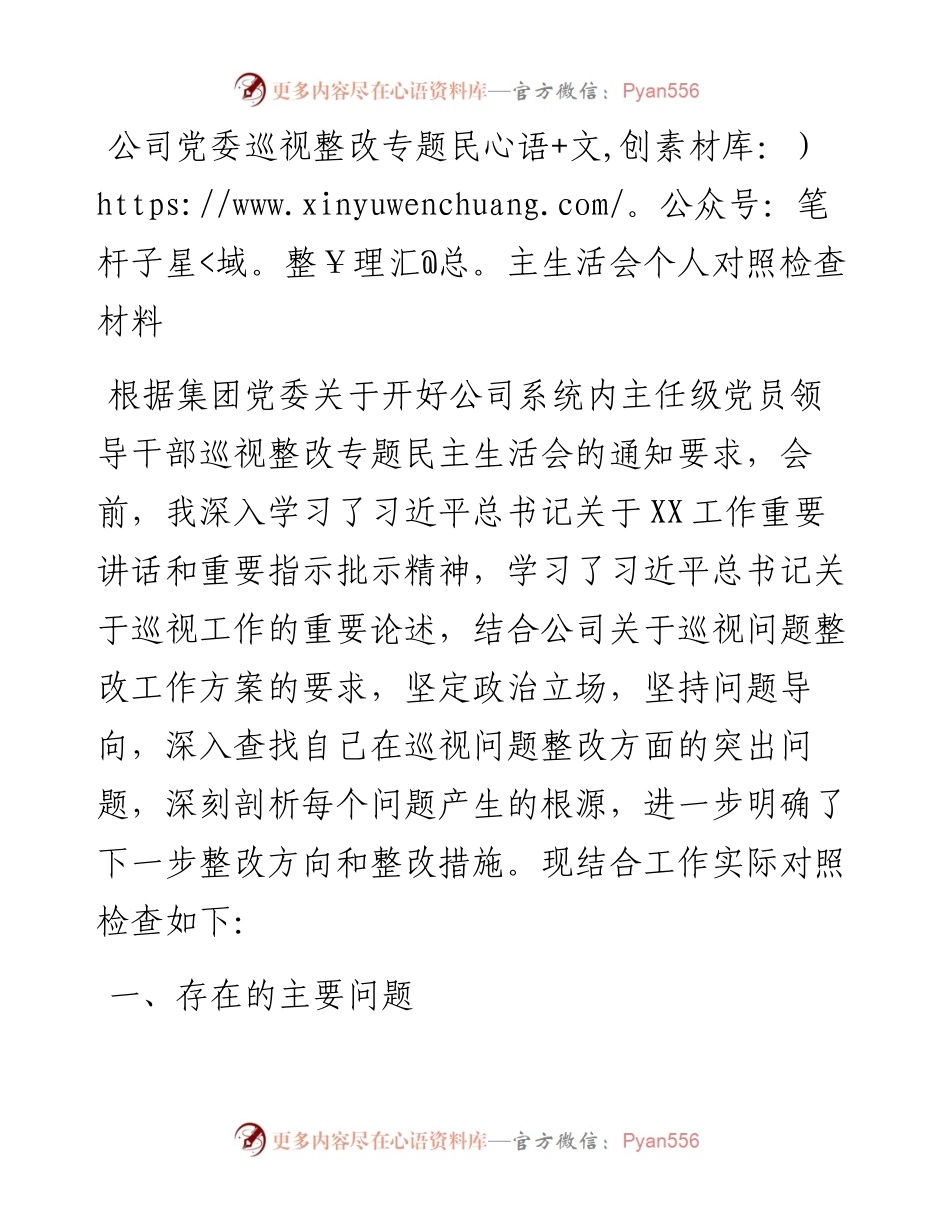 公司党委巡视整改专题民主生活会个人对照检查材料.docx_第1页