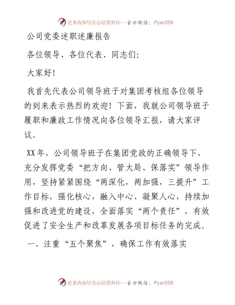 公司党委述职述廉报告.docx_第1页