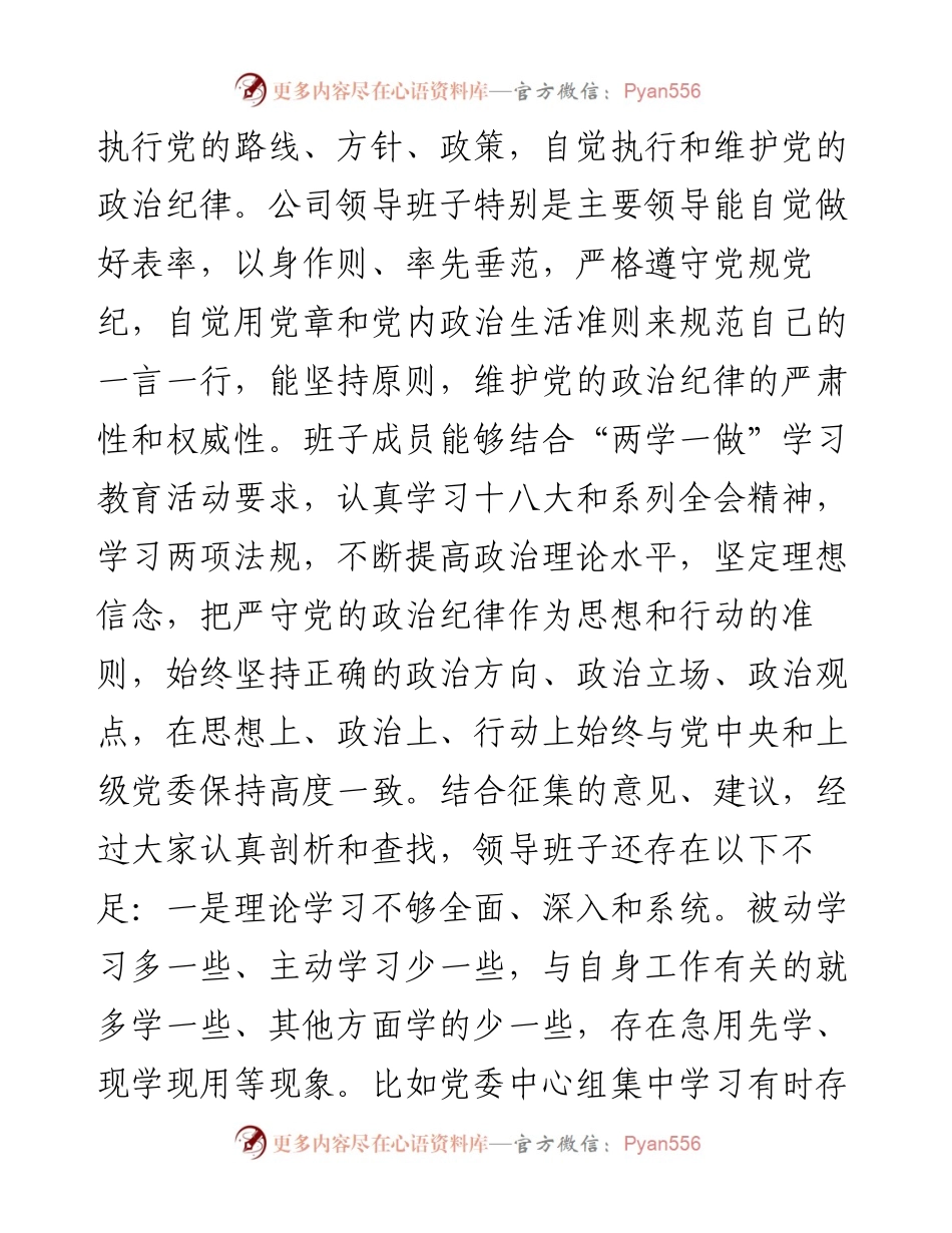 公司领导班子度对照检查材料.docx_第2页