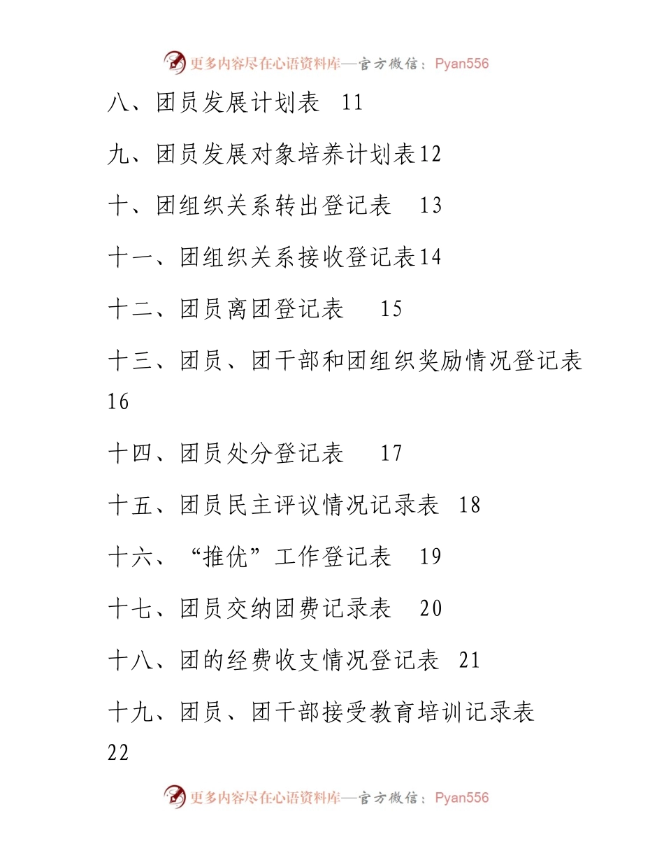 共青团台账大全(21个表格).docx_第2页