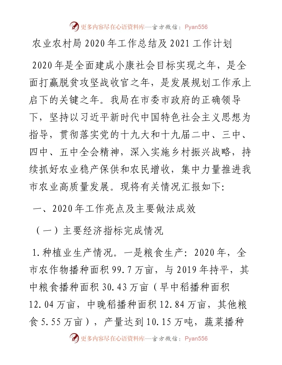 农业农村局工作总结及工作计划.docx_第1页