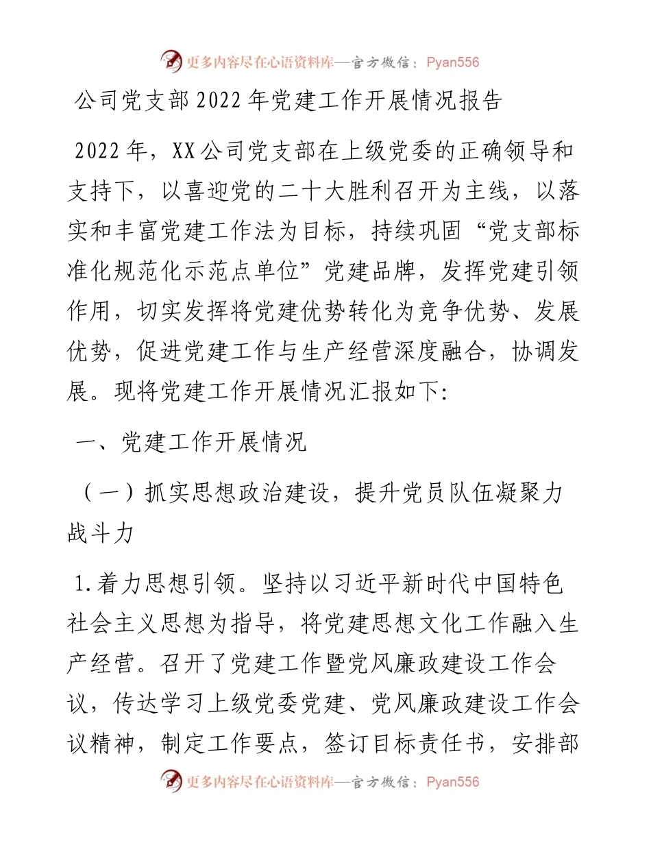 公司党支部党建工作开展情况报告.docx_第1页