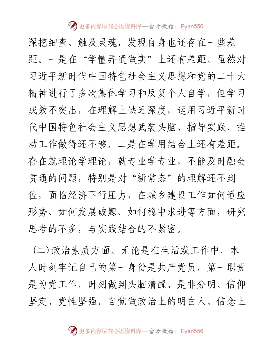 副县长在主题教育民主生活会个人发言提纲.docx_第2页