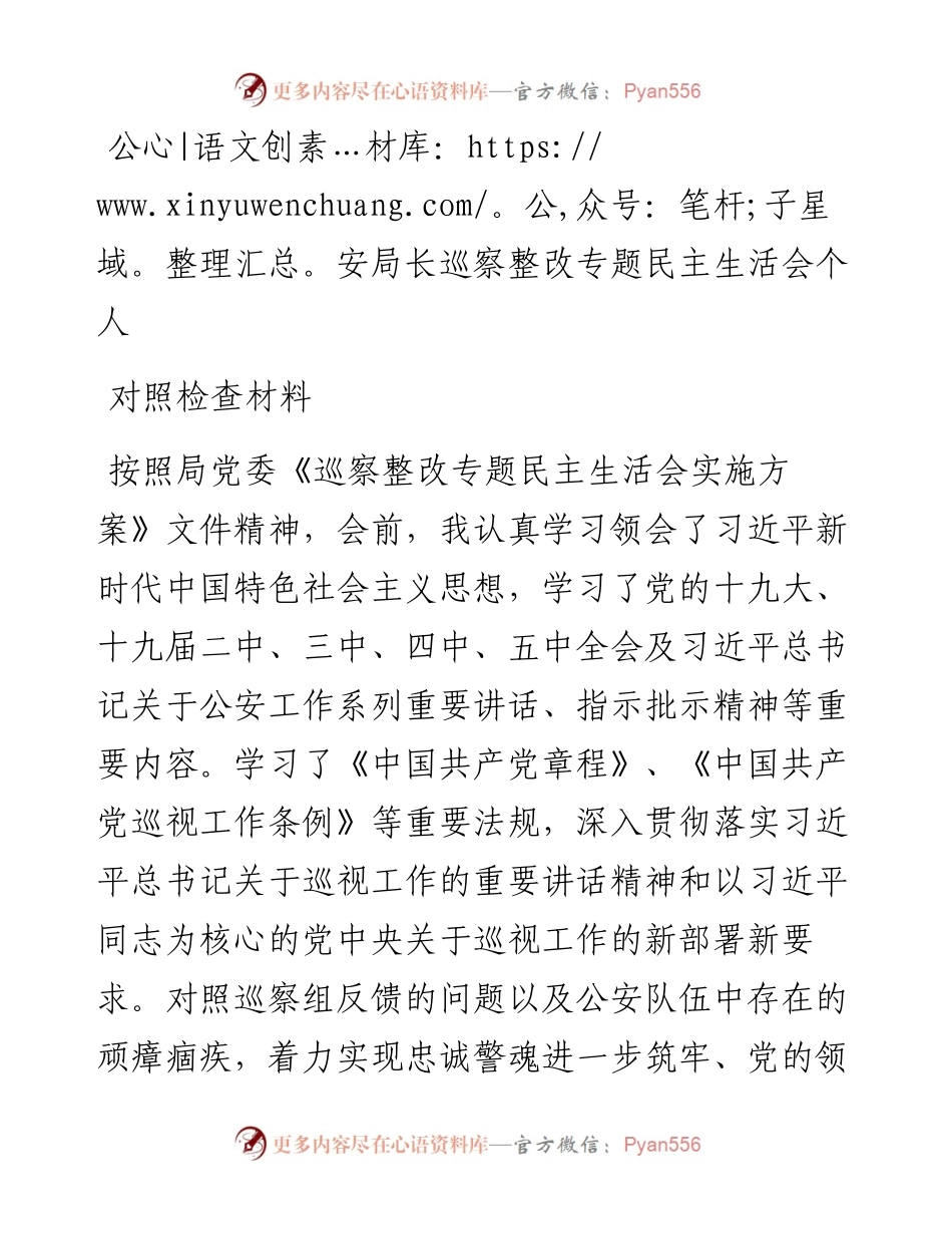 公安局长巡察整改专题民主生活会个人对照检查材料.docx_第1页