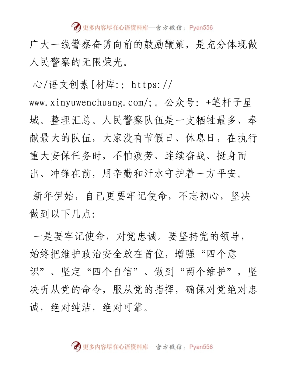 公安警察节发言：牢记使命担当忠诚履职尽责.docx_第2页