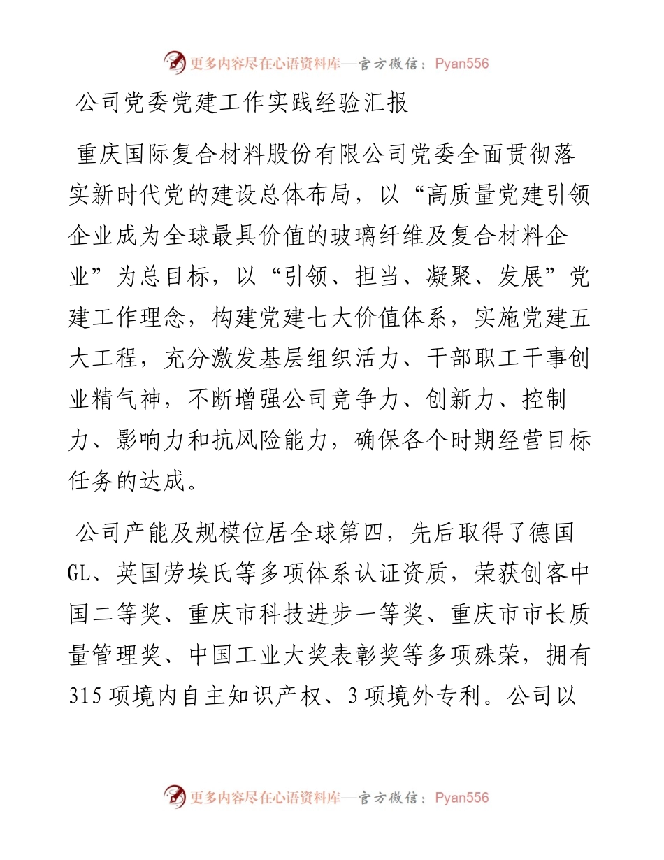 公司党委党建工作实践经验汇报.docx_第1页