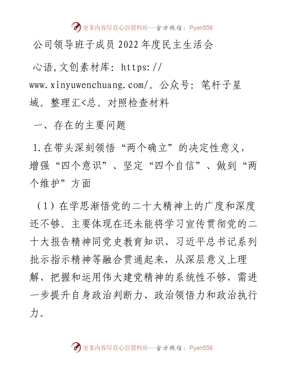 公司领导班子成员度民主生活会对照检查材料.docx_第1页