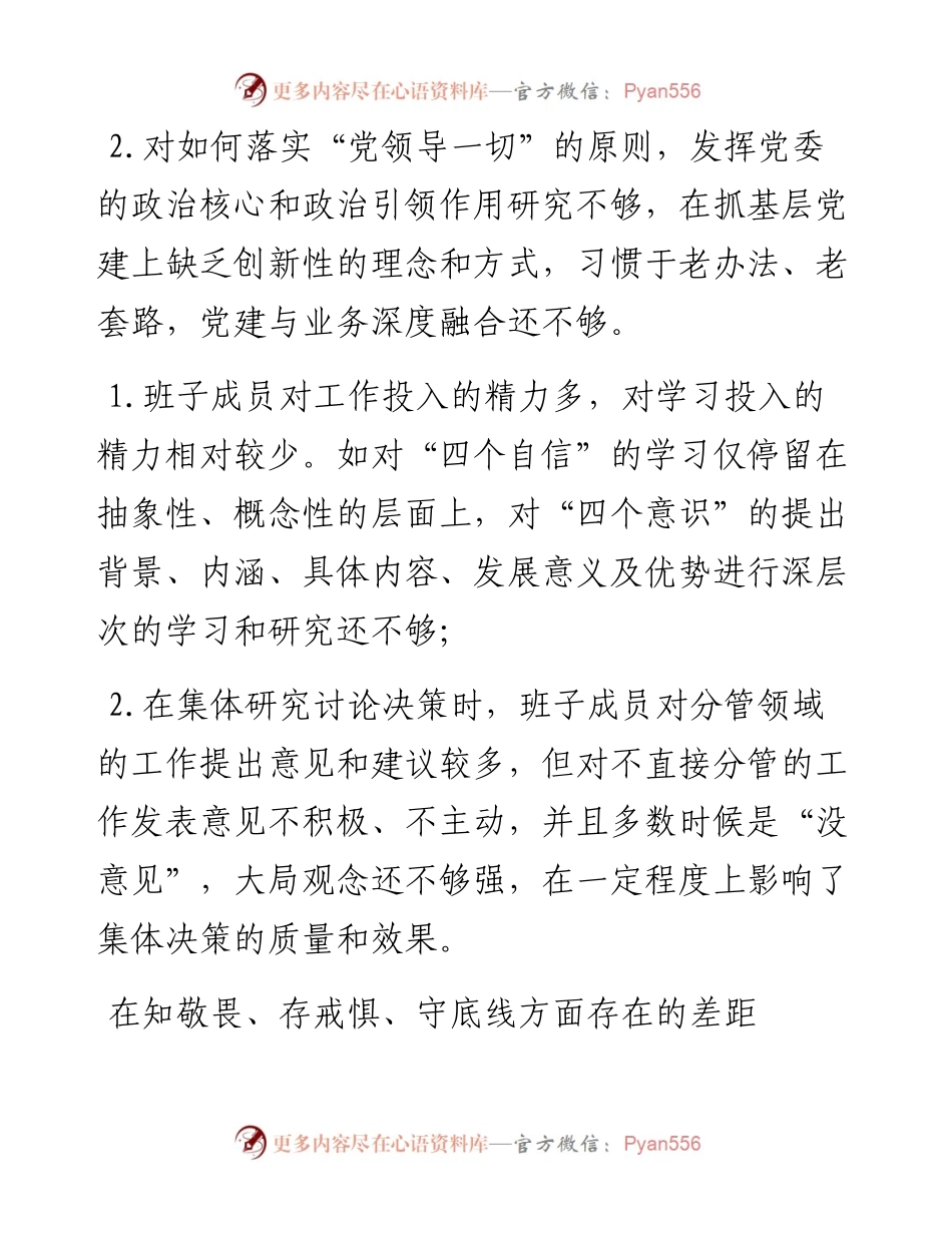 公司领导班子及个人检视问题清单(1).docx_第2页