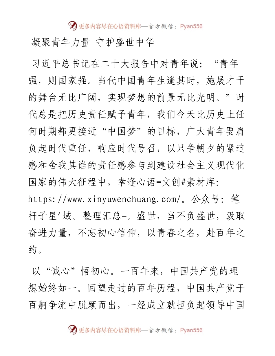 凝聚青年力量 守护盛世中华.docx_第1页