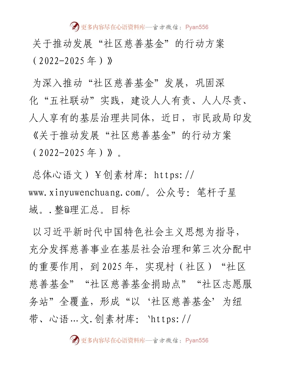 关于推动发展“社区慈善基金”的行动方案（-2025年）》.docx_第1页