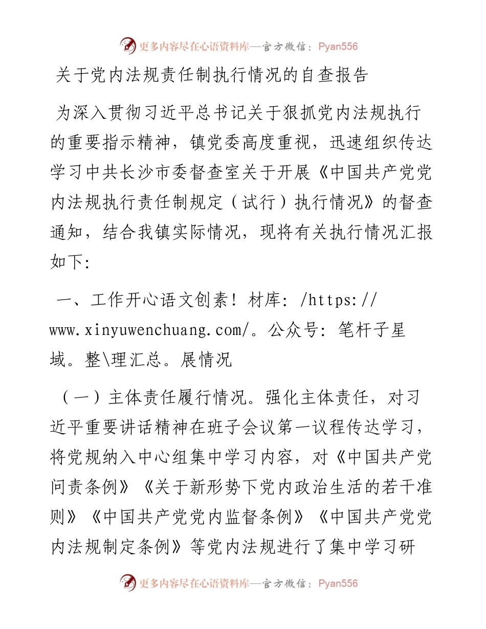 关于党内法规责任制执行情况的自查报告.docx_第1页