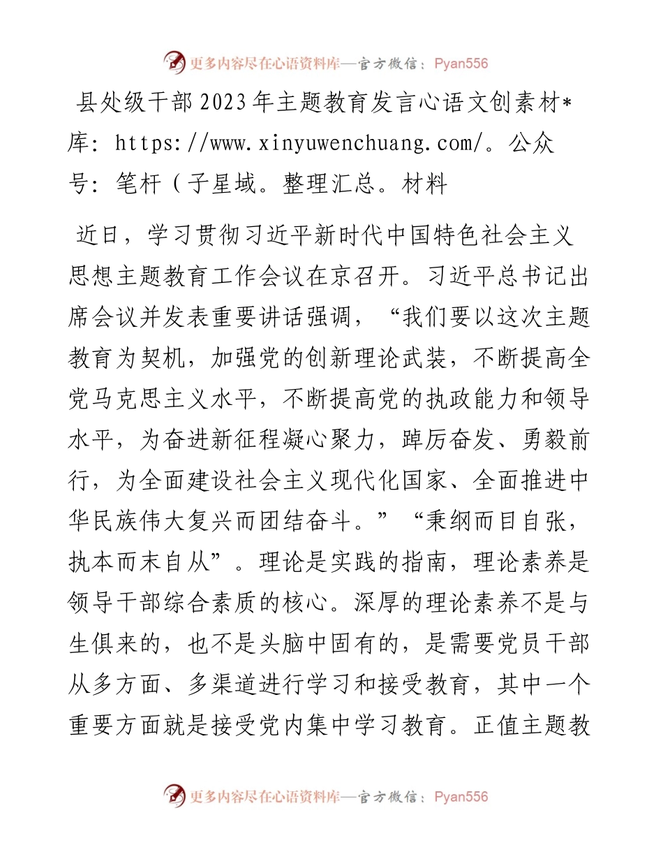 县处级干部2023年主题教育发言材料.docx_第1页