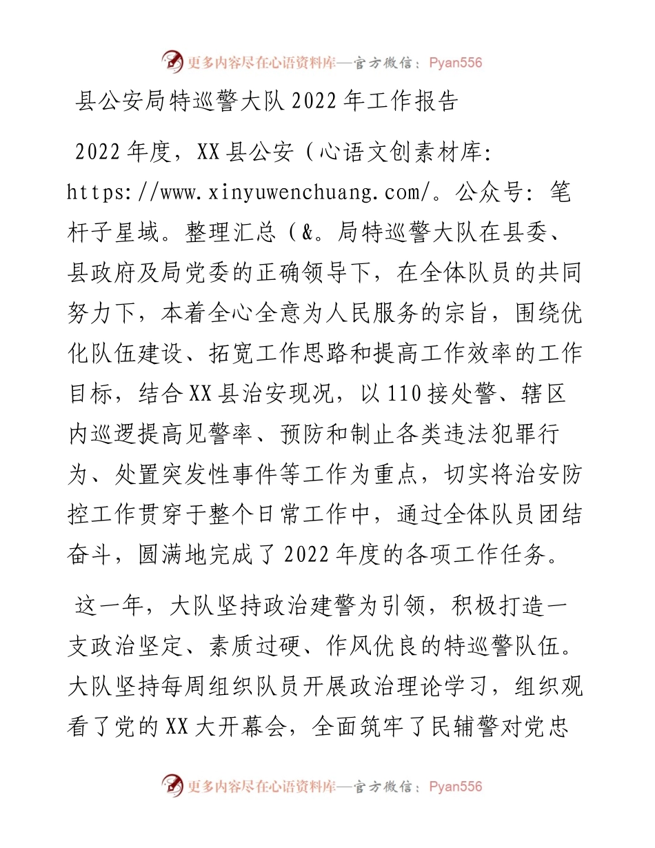 县公安局特巡警大队工作报告.docx_第1页