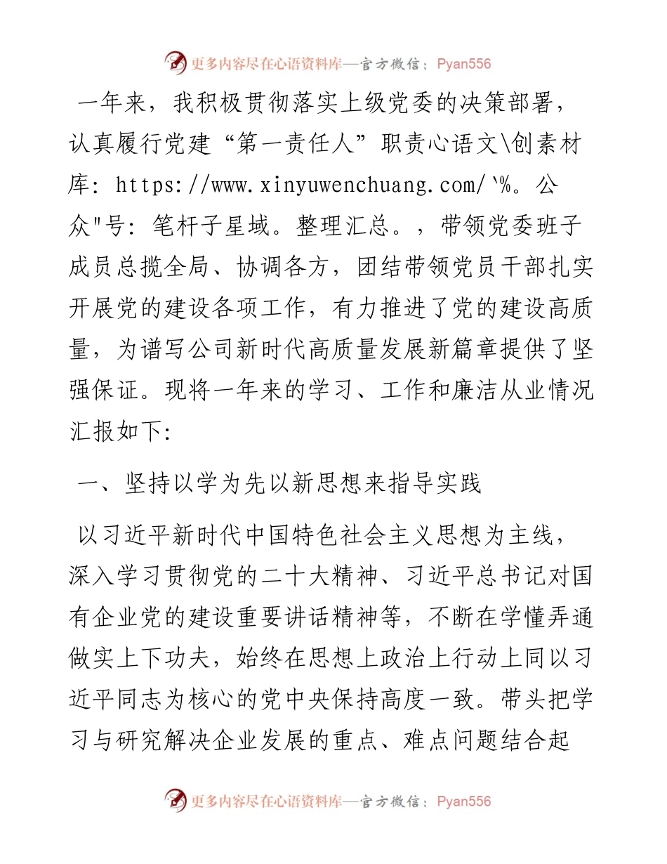 公司党委书记述学述职述廉报告.docx_第1页