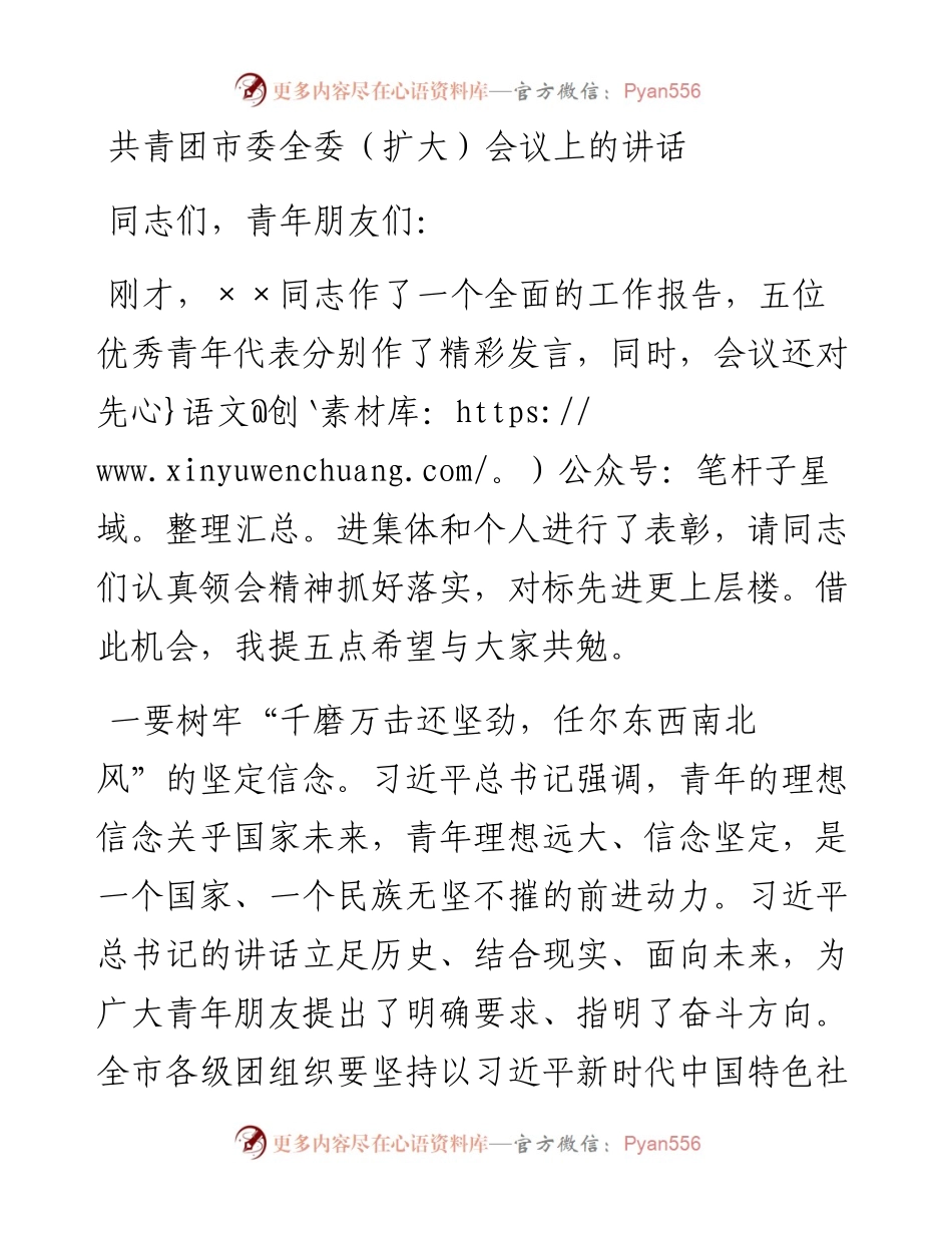 共青团市委全委（扩大）会议上的讲话.docx_第1页