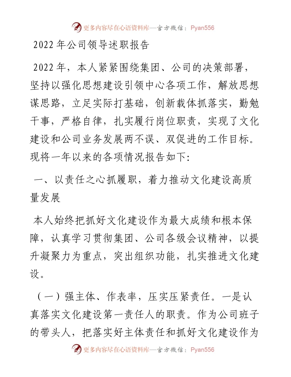 公司领导述职报告.docx_第1页