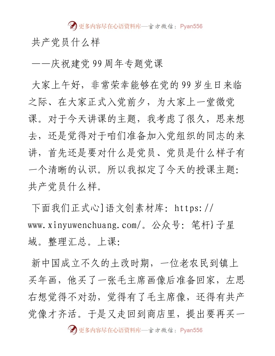 共产党员什么样.docx_第1页