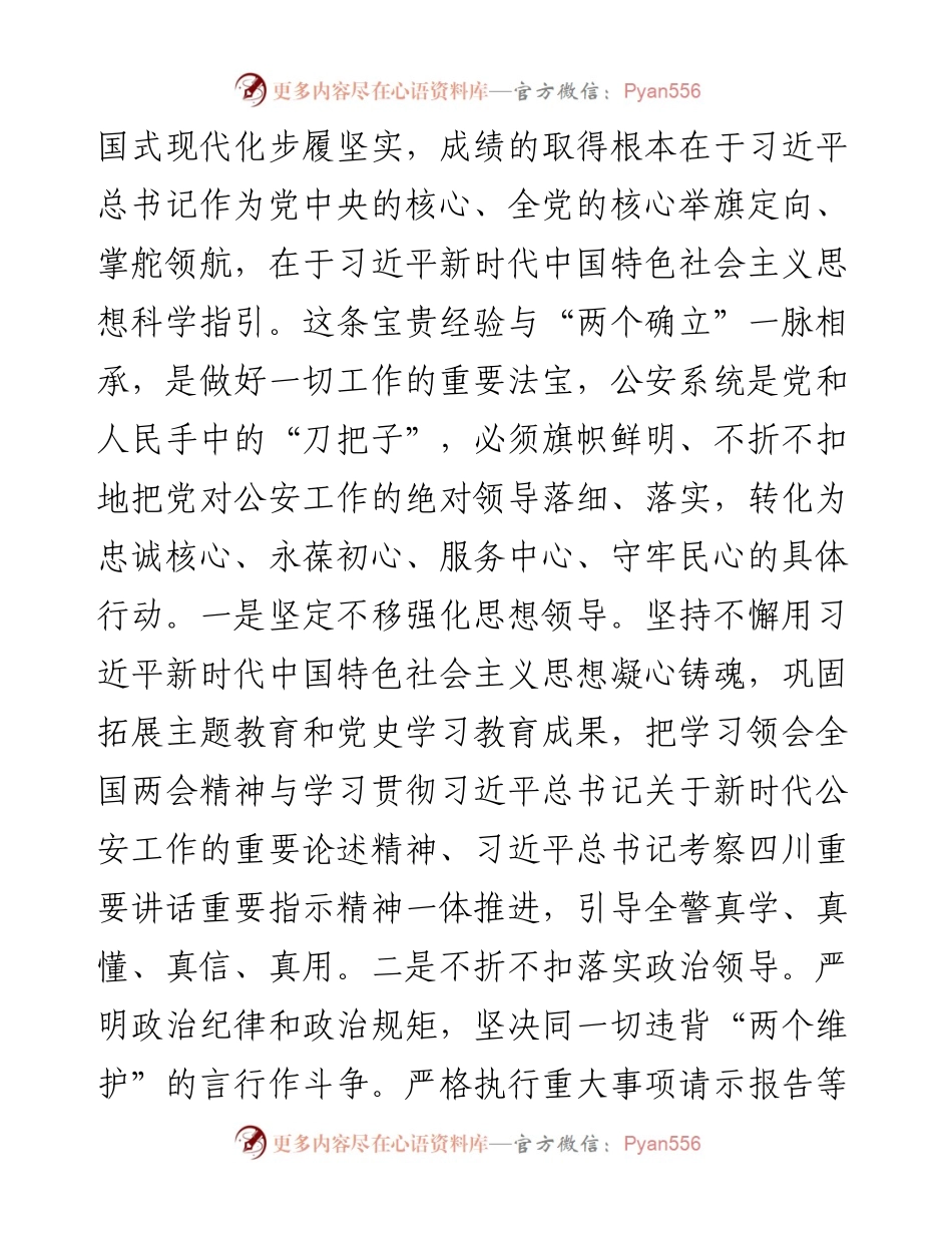 副市长、公安局长在市政府党组理论学习中心组集体学习会上的研讨交流发言.docx_第2页