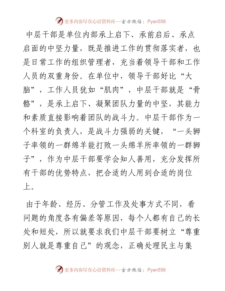 关于中层干部的研讨发言.docx_第1页