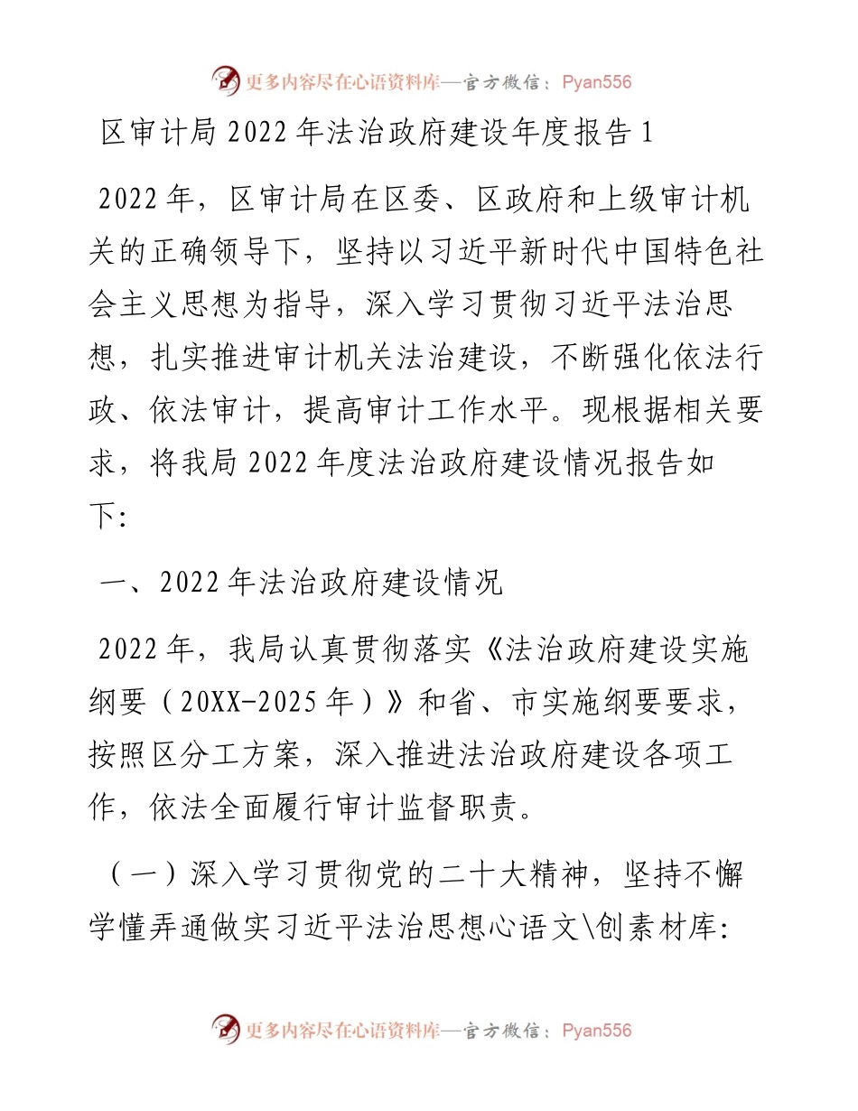 区审计局法治政府建设年度报告（2篇）.docx_第1页