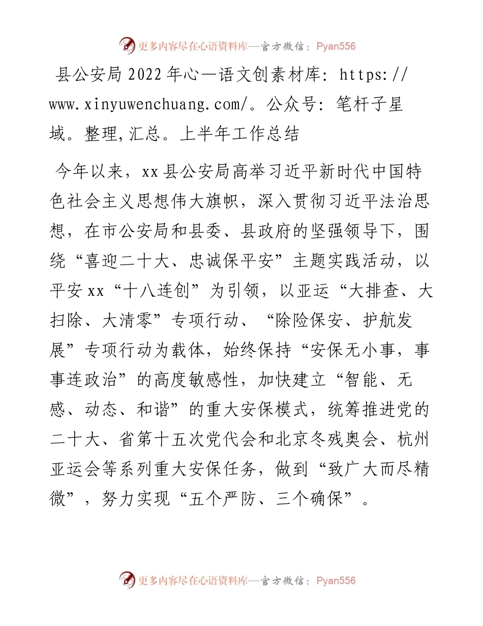 县公安局上半年工作总结 (2).docx_第1页