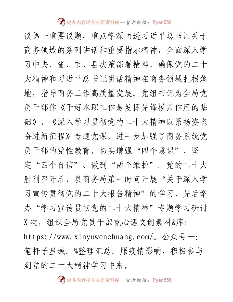 县商务局党建工作总结和2023年党建工作计划.docx_第2页