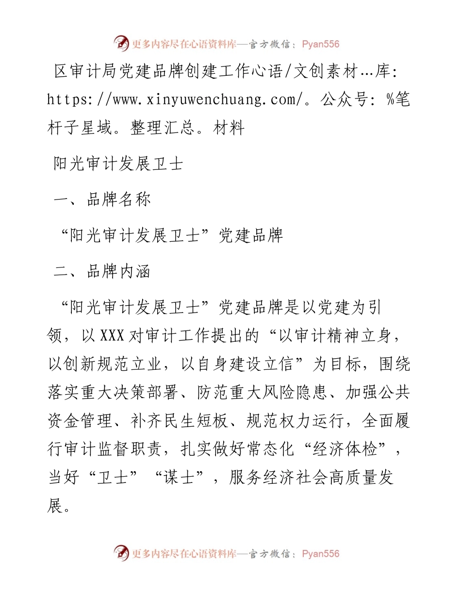 区审计局党建品牌创建工作材料：阳光审计发展卫士.docx_第1页