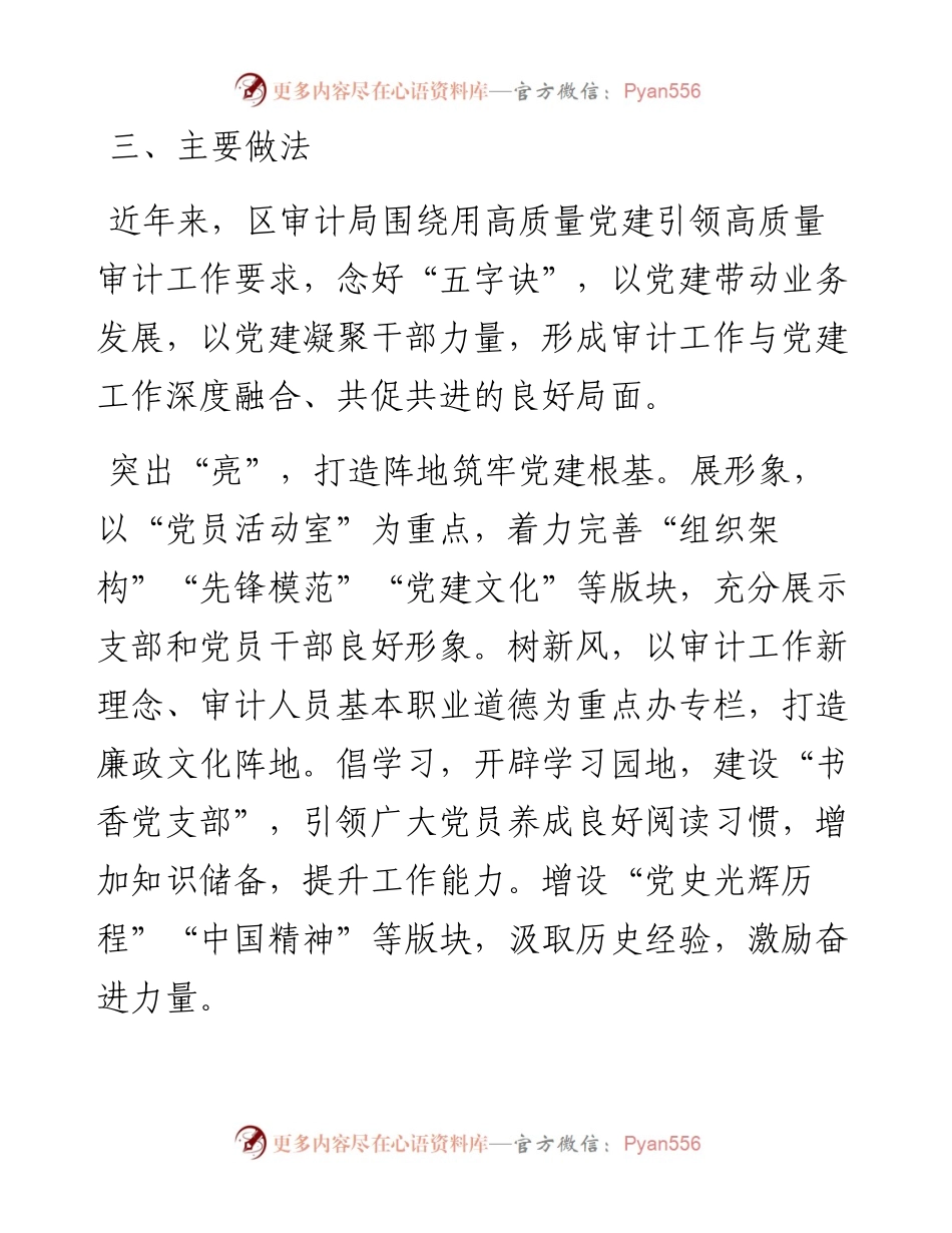 区审计局党建品牌创建工作材料：阳光审计发展卫士.docx_第2页