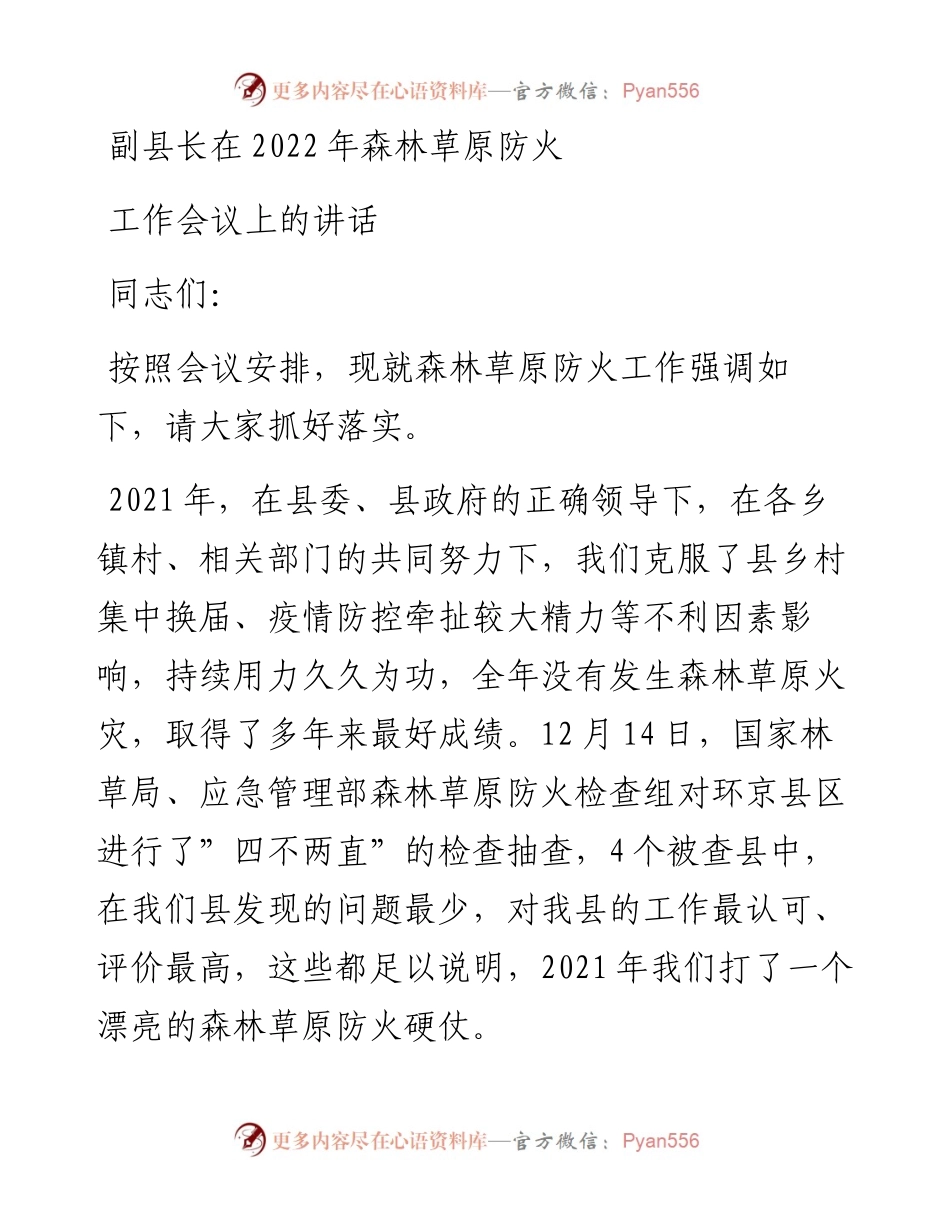副县长在森林草原防火工作会议上的讲话.docx_第1页