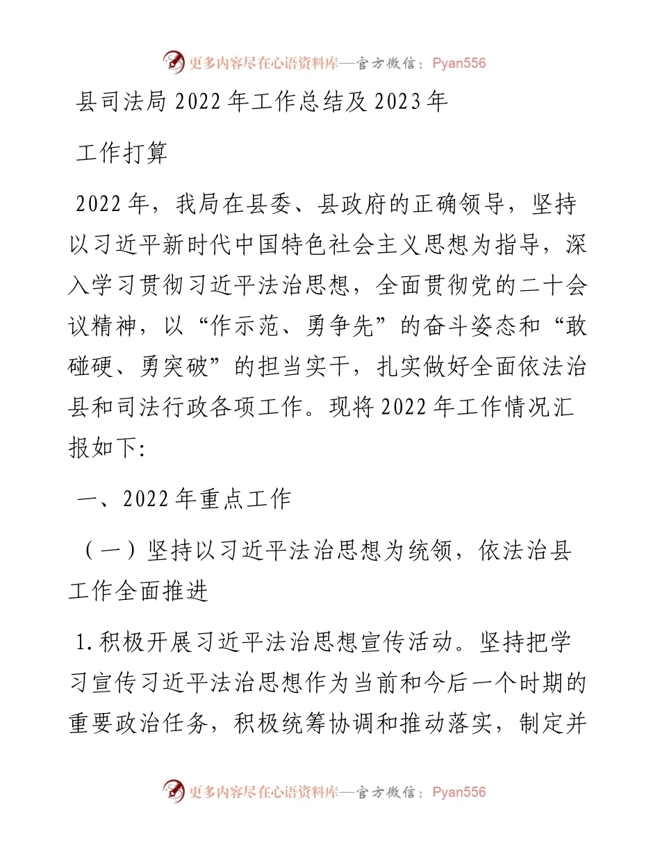 县司法局工作总结及2023年工作打算.docx_第1页