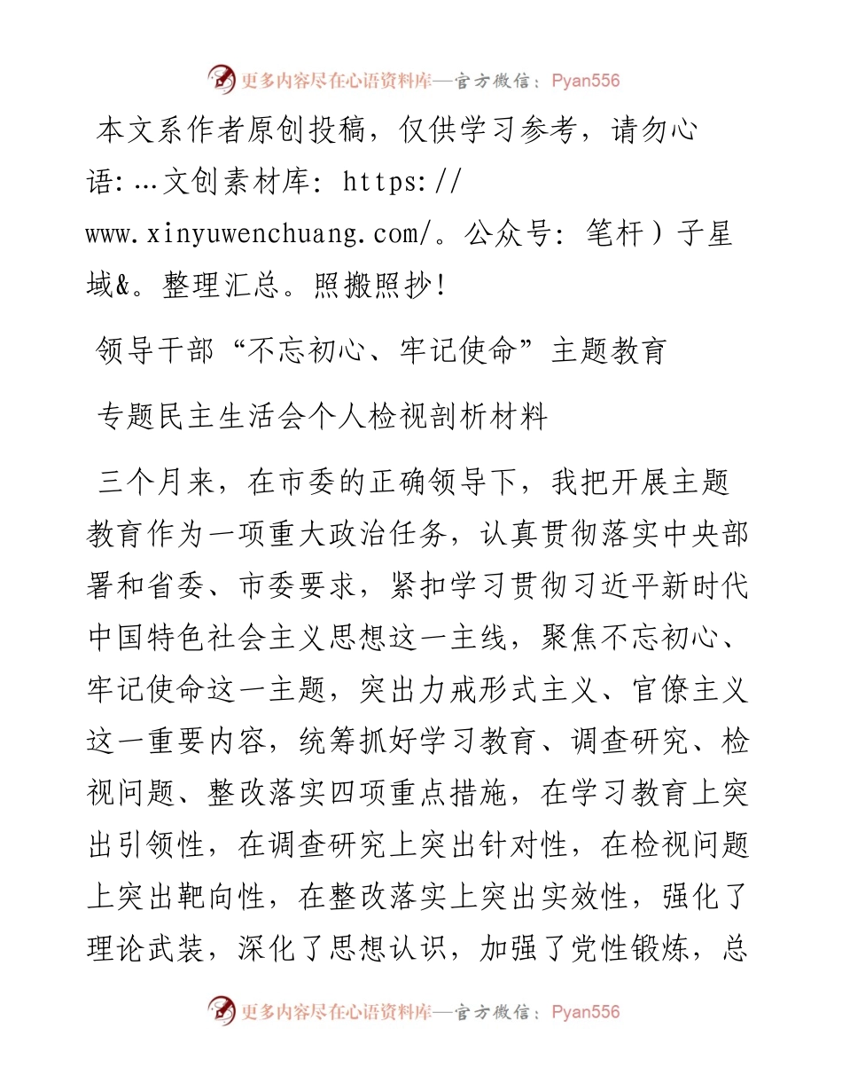 县处级领导干部主题教育专题民主生活会剖析检视材料.docx_第1页