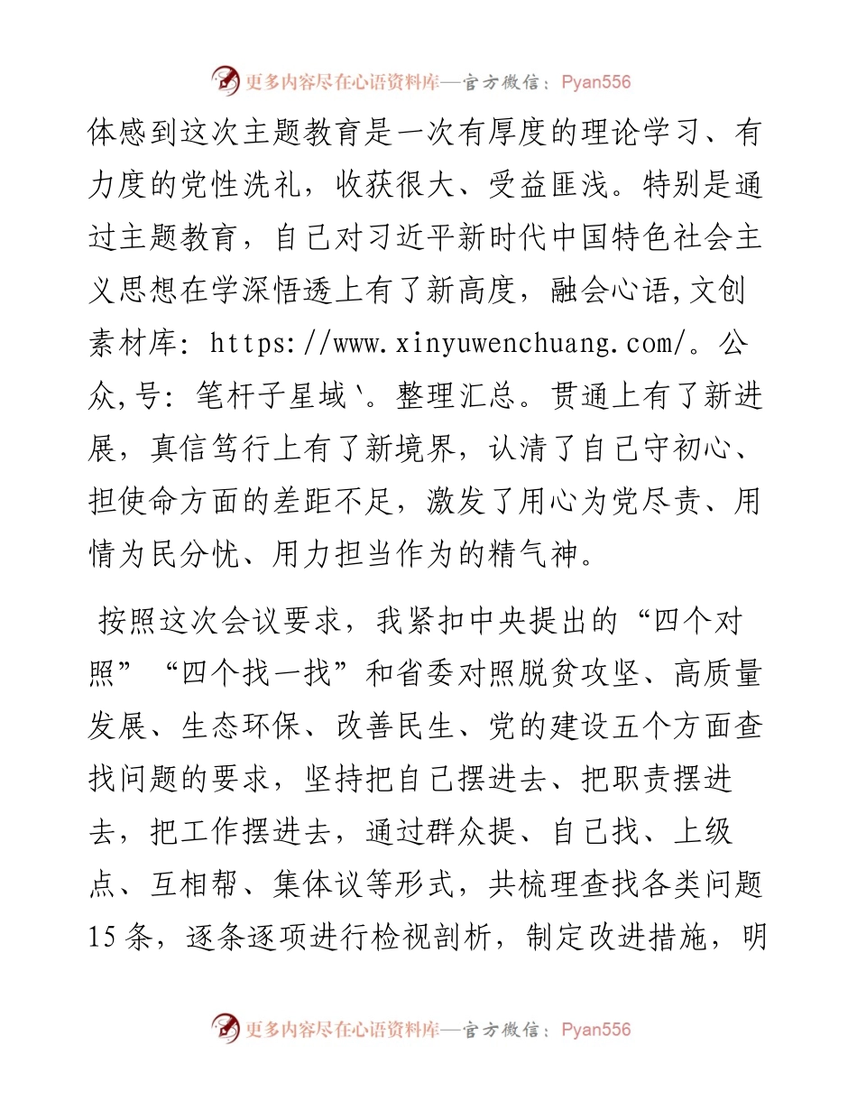 县处级领导干部主题教育专题民主生活会剖析检视材料.docx_第2页