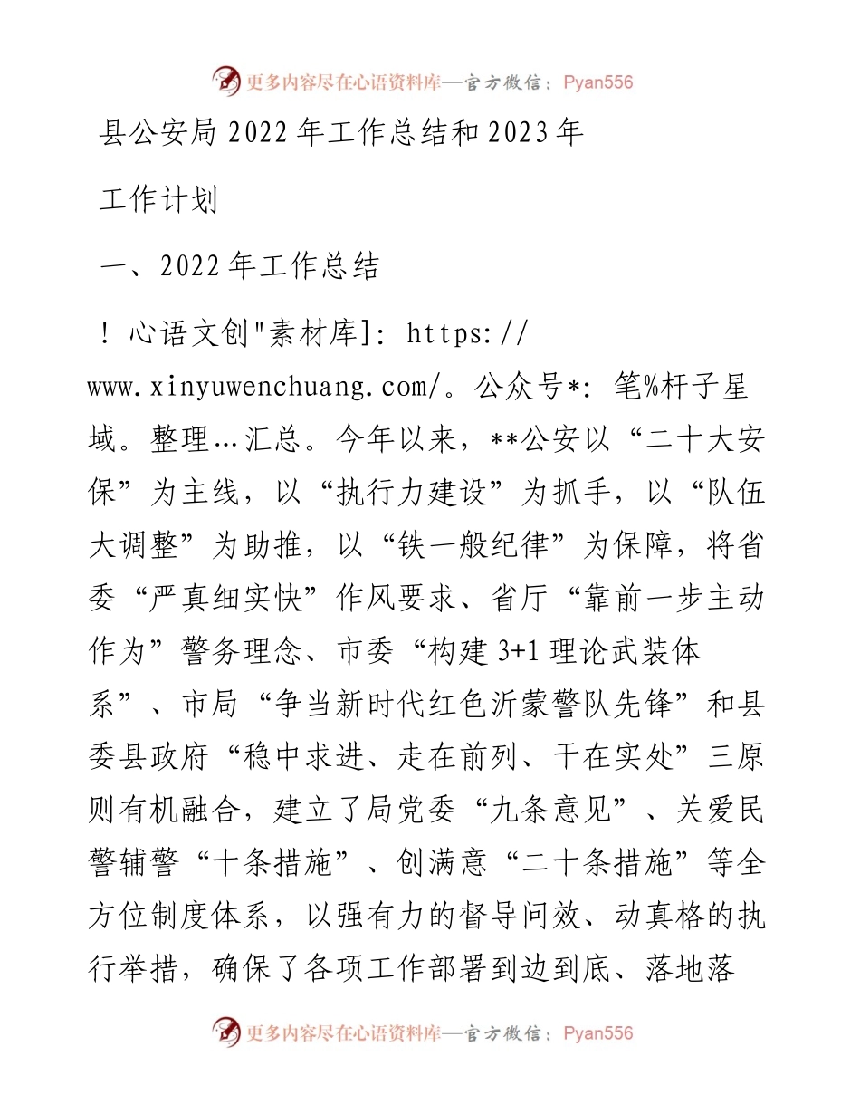 县公安局工作总结和2023年工作计划 (2).docx_第1页